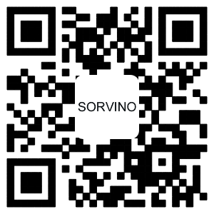 the qr code